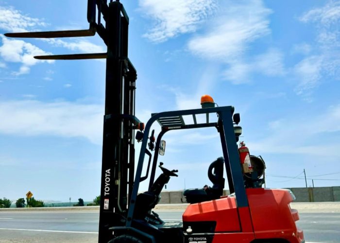 311593_1 (1)_1707256666356-1300